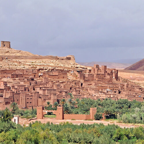 ( days desert tours